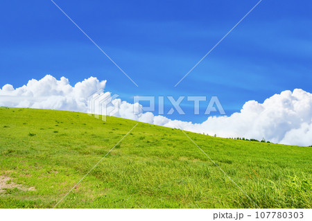 北海道 夏(8月)の美瑛・富良野 北海道 夏(8月)の美瑛・富良野 107780303