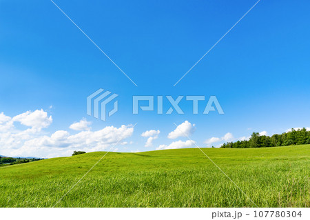 北海道 夏(8月)の美瑛・富良野 北海道 夏(8月)の美瑛・富良野 107780304