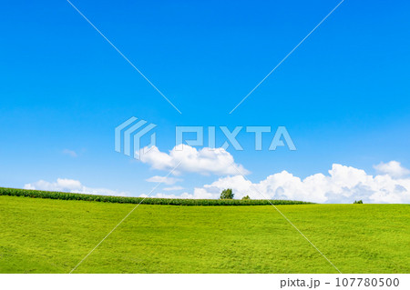 北海道　夏(8月)の美瑛・富良野 107780500