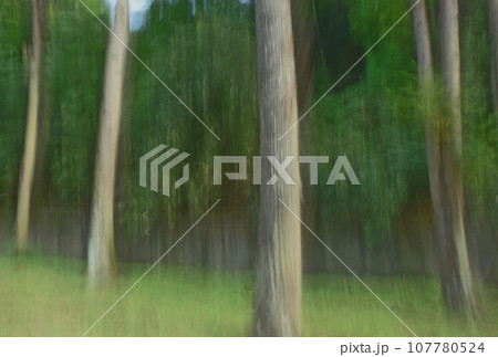 ICMによる森林イメージ 107780524