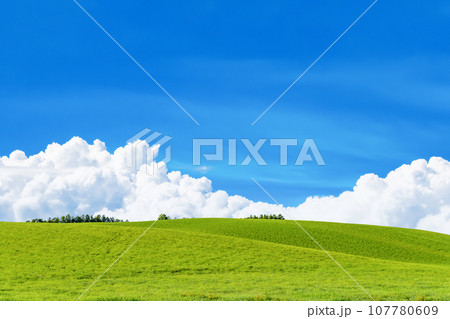 北海道　夏(8月)の美瑛・富良野 107780609