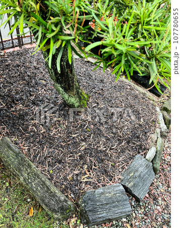 弱った庭木に腐葉土 107780655