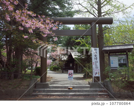 札幌護国神社裏参道の風景_札幌市 札幌護国神社裏参道の風景_札幌市 107780864