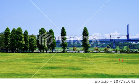 夏の晴れの日の辰巳の森海浜公園 107781043