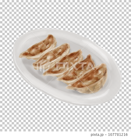 Fried gyoza on a plate Fried gyoza on a plate 107781216
