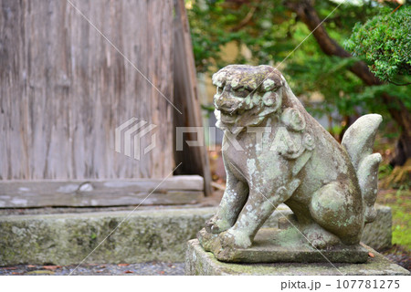 <東北 岩手県>カッパ淵・遠野物語の世界へ <東北 岩手県>カッパ淵・遠野物語の世界へ 107781275