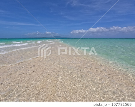 浜島 浜島 107781569