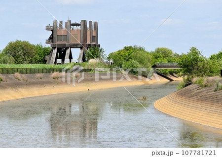 渡良瀬遊水地は広大で豊かな自然が満喫できる 渡良瀬遊水地は広大で豊かな自然が満喫できる 107781721