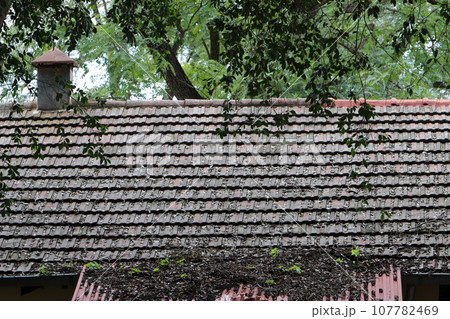 Roof tiles on a residential building in Israel. 107782469