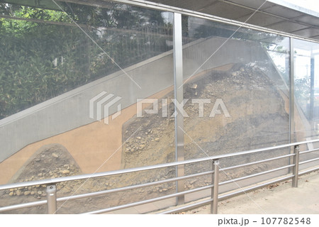 小牧山城と石垣 土塁 小牧山城と石垣 土塁 107782548