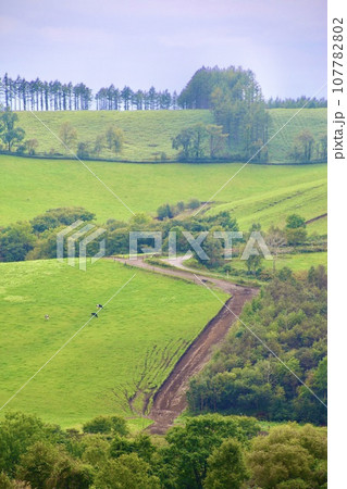 ナイタイ高原牧場(北海道・上川郡新得町) ナイタイ高原牧場(北海道・上川郡新得町) 107782802