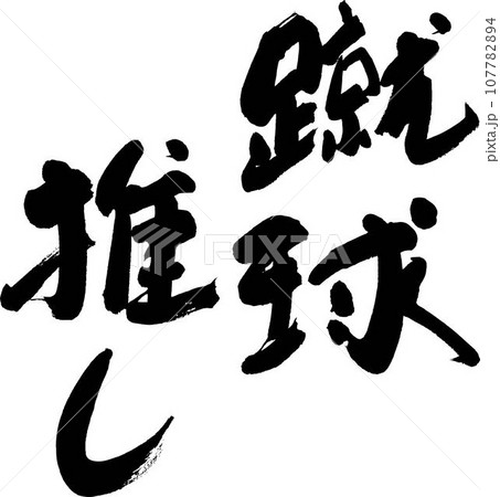 サッカー好き サッカー好き 107782894