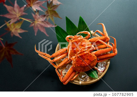 秋の風物詩 せいこ蟹 秋の風物詩 せいこ蟹 107782905
