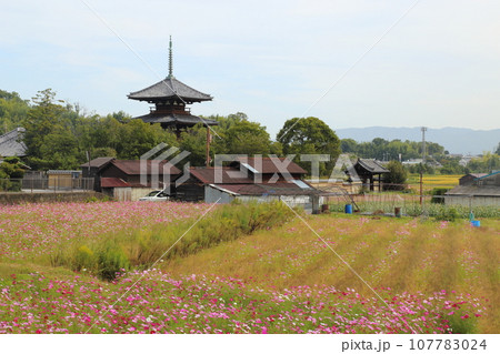 法起寺(ほうきじ)の 三重塔〈国宝〉 【奈良県斑鳩町】 法起寺(ほうきじ)の 三重塔〈国宝〉 【奈良県斑鳩町】 107783024