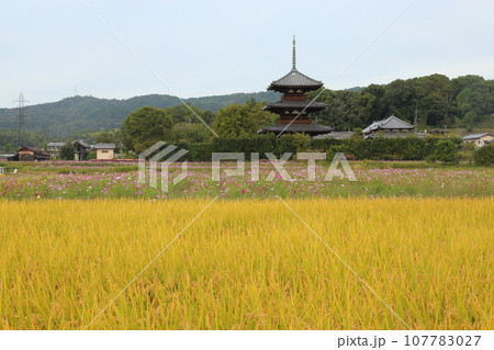 法起寺(ほうきじ)の 三重塔〈国宝〉 【奈良県斑鳩町】 法起寺(ほうきじ)の 三重塔〈国宝〉 【奈良県斑鳩町】 107783027