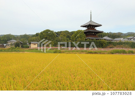法起寺(ほうきじ)の 三重塔〈国宝〉 【奈良県斑鳩町】 法起寺(ほうきじ)の 三重塔〈国宝〉 【奈良県斑鳩町】 107783028