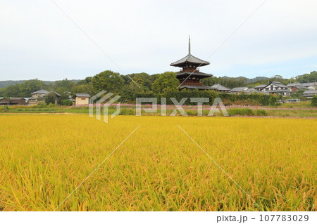 法起寺(ほうきじ)の 三重塔〈国宝〉 【奈良県斑鳩町】 法起寺(ほうきじ)の 三重塔〈国宝〉 【奈良県斑鳩町】 107783029