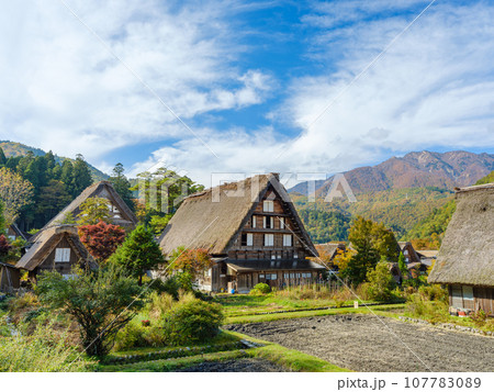 岐阜_白川郷合掌造りと紅葉の風景 107783089