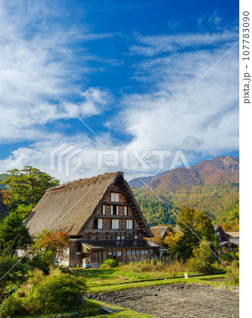岐阜_白川郷合掌造りと紅葉の風景 107783090