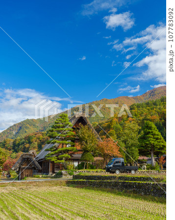 岐阜_白川郷合掌造りと紅葉の風景 岐阜_白川郷合掌造りと紅葉の風景 107783092