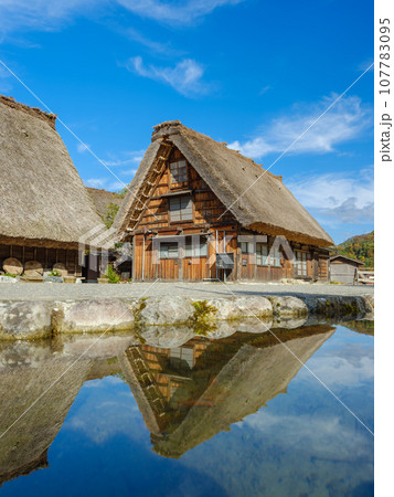 岐阜_白川郷合掌造りと紅葉の風景 107783095