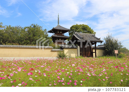 法起寺(ほうきじ)の南大門付近から 【奈良県斑鳩町】 法起寺(ほうきじ)の南大門付近から 【奈良県斑鳩町】 107783121