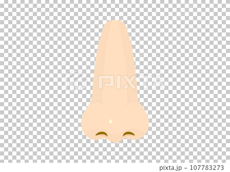 人間の鼻 人間の鼻 107783273