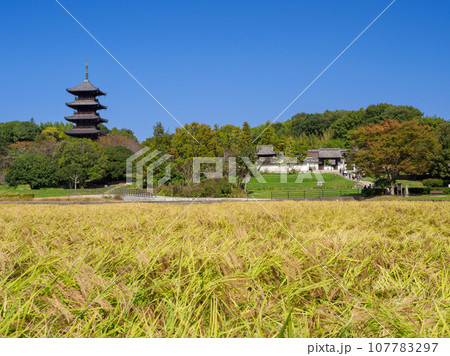 岡山_輝く稲穂と備中国分寺の風景 岡山_輝く稲穂と備中国分寺の風景 107783297
