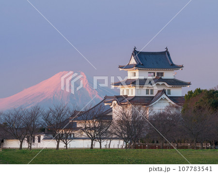 夜明けの富士山と関宿城復元天守閣の絶景風景 夜明けの富士山と関宿城復元天守閣の絶景風景 107783541