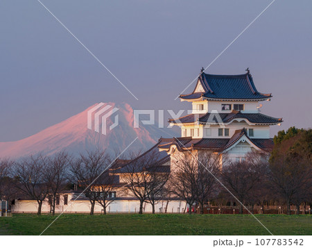 夜明けの富士山と関宿城復元天守閣の絶景風景 夜明けの富士山と関宿城復元天守閣の絶景風景 107783542