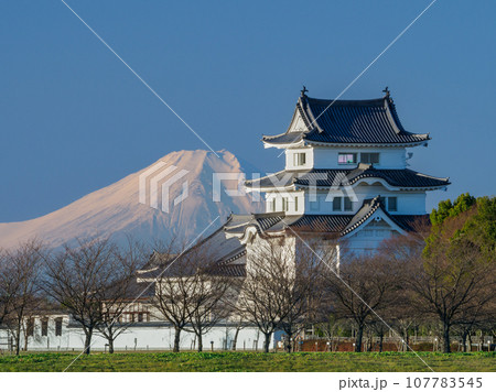 夜明けの富士山と関宿城復元天守閣の絶景風景 107783545