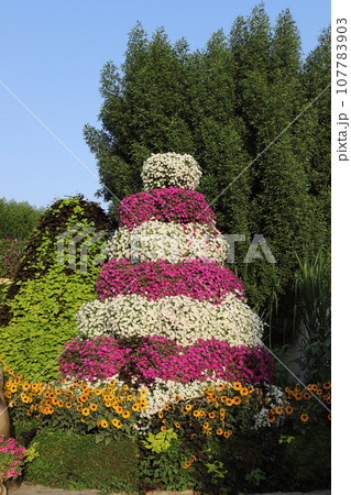 Flower Garden - located in the Dubailand area, United Arab Emirates. Flower Garden - located in the Dubailand area, United Arab Emirates. 107783903