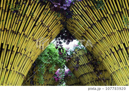 Flower Garden - located in the Dubailand area, United Arab Emirates. Flower Garden - located in the Dubailand area, United Arab Emirates. 107783920
