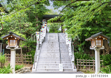 東京都・原宿　東郷神社　石段 107783994