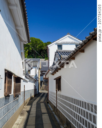 岡山_白壁の輝く倉敷美観地区の風景 107784103