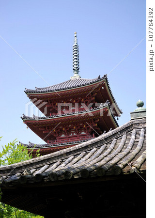 四国八十八箇所86番札所 志度寺の風景 四国八十八箇所86番札所 志度寺の風景 107784192