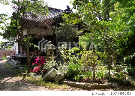 四国八十八箇所86番札所 志度寺の風景 四国八十八箇所86番札所 志度寺の風景 107784205