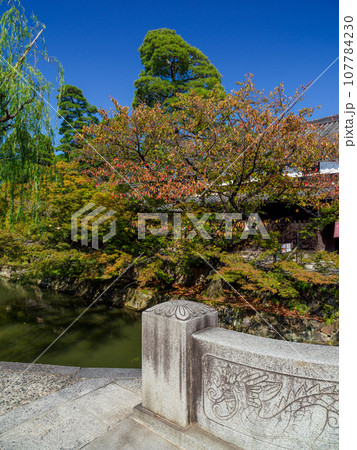 岡山倉敷美観地区_倉敷川沿いの秋の風景 107784230
