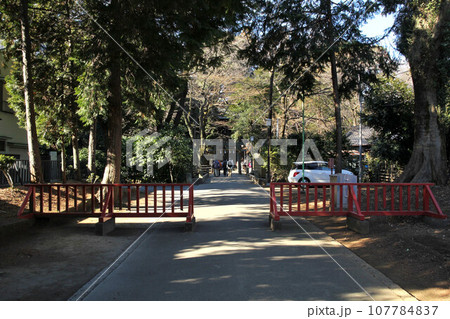 川越 仙波東照宮 川越 仙波東照宮 107784837