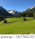 緑の草原と美しい風景 107785210