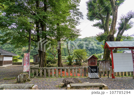 日本書紀に出てくる景行天皇の弟姫（おとひめ）伝説の地　泳宮（くくりのみや）に咲く彼岸花 107785294