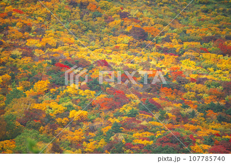 安達太良山の錦絵のように美しい紅葉 107785740