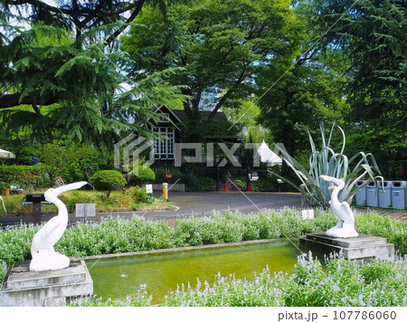 東京都 日比谷公園 ペリカン噴水と旧日比谷公園事務所 9月 東京都 日比谷公園 ペリカン噴水と旧日比谷公園事務所 9月 107786060