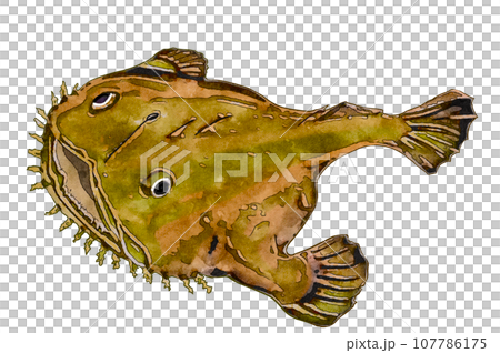 安哥潘 安哥潘 107786175