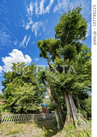 日本書紀に出てくる景行天皇が美濃に行幸した際の弟姫(おとひめ)伝説の地 泳宮(くくりのみや)の景色 日本書紀に出てくる景行天皇が美濃に行幸した際の弟姫(おとひめ)伝説の地 泳宮(くくりのみや)の景色 107786225