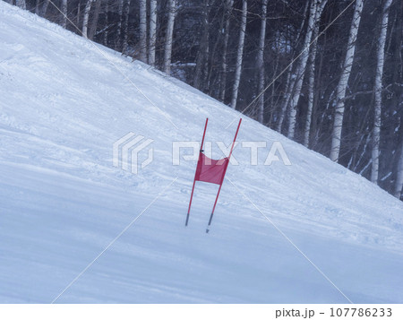 スキー場のゲレンデと旗門の旗 107786233