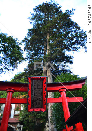 福島県会津若松市のパワースポット　羽黒山湯上神社の大鳥居 107787568