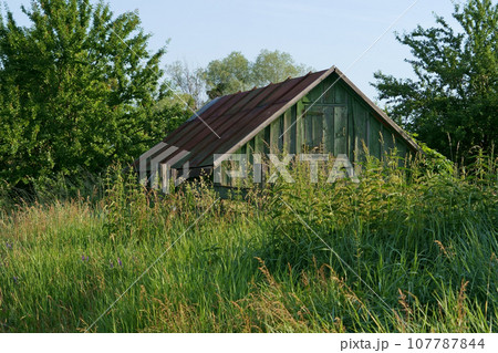 Depressed region of Ukraine. Dilapidation of the village. Unkept old fence and house, outskirts. View of outskirts and pole fence in village 107787844