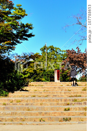 高尾山　登山ルート1号路の風景 107788653