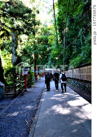 高尾山　登山ルート1号路の風景 107788676